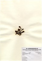 藏品(重緣葉馬尾藻)的圖片